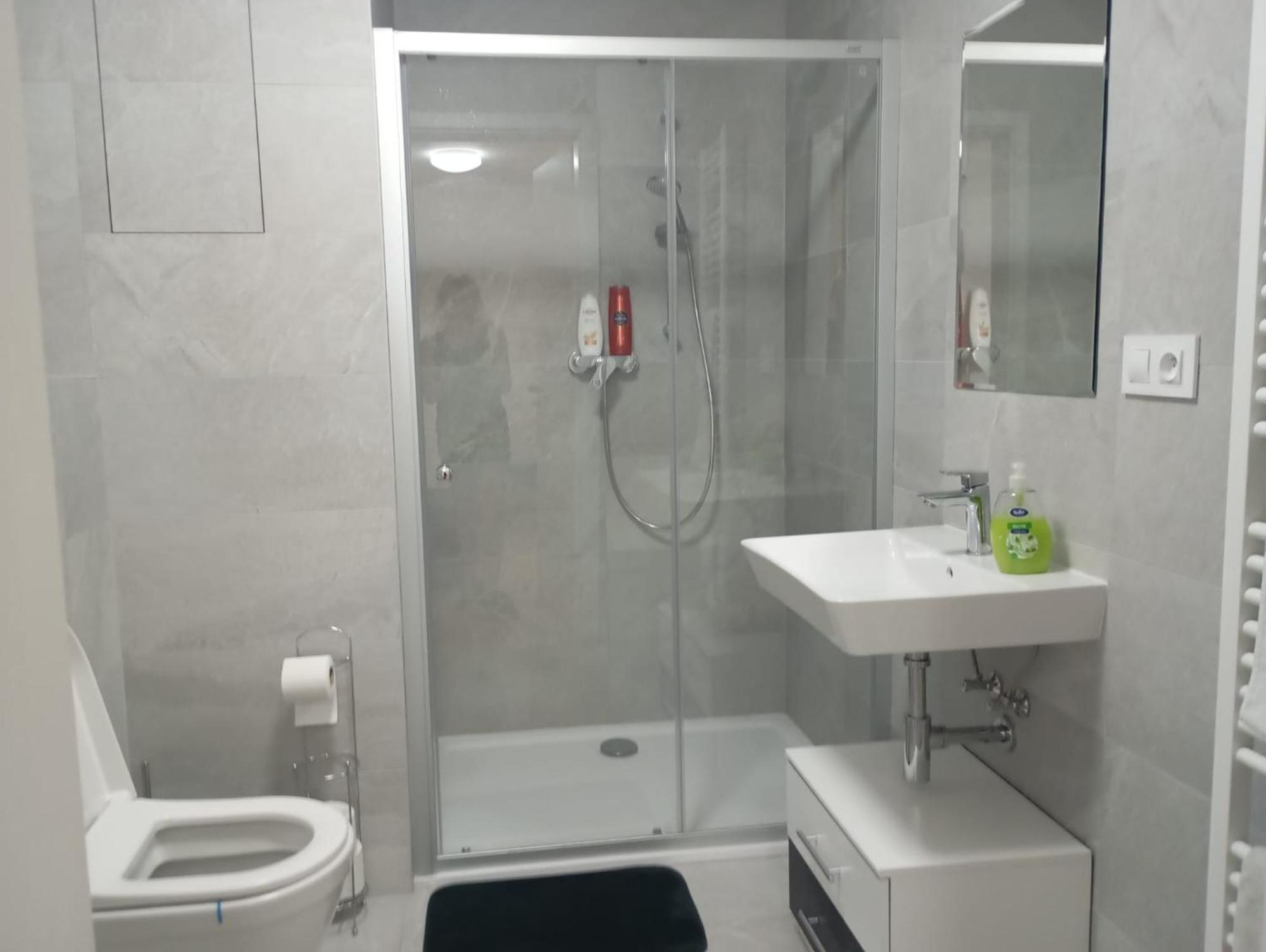 Novy Apartman S Terasou Brno Buitenkant foto